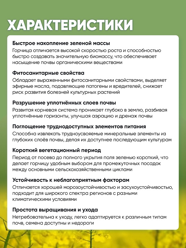 Горчица белая 1 кг